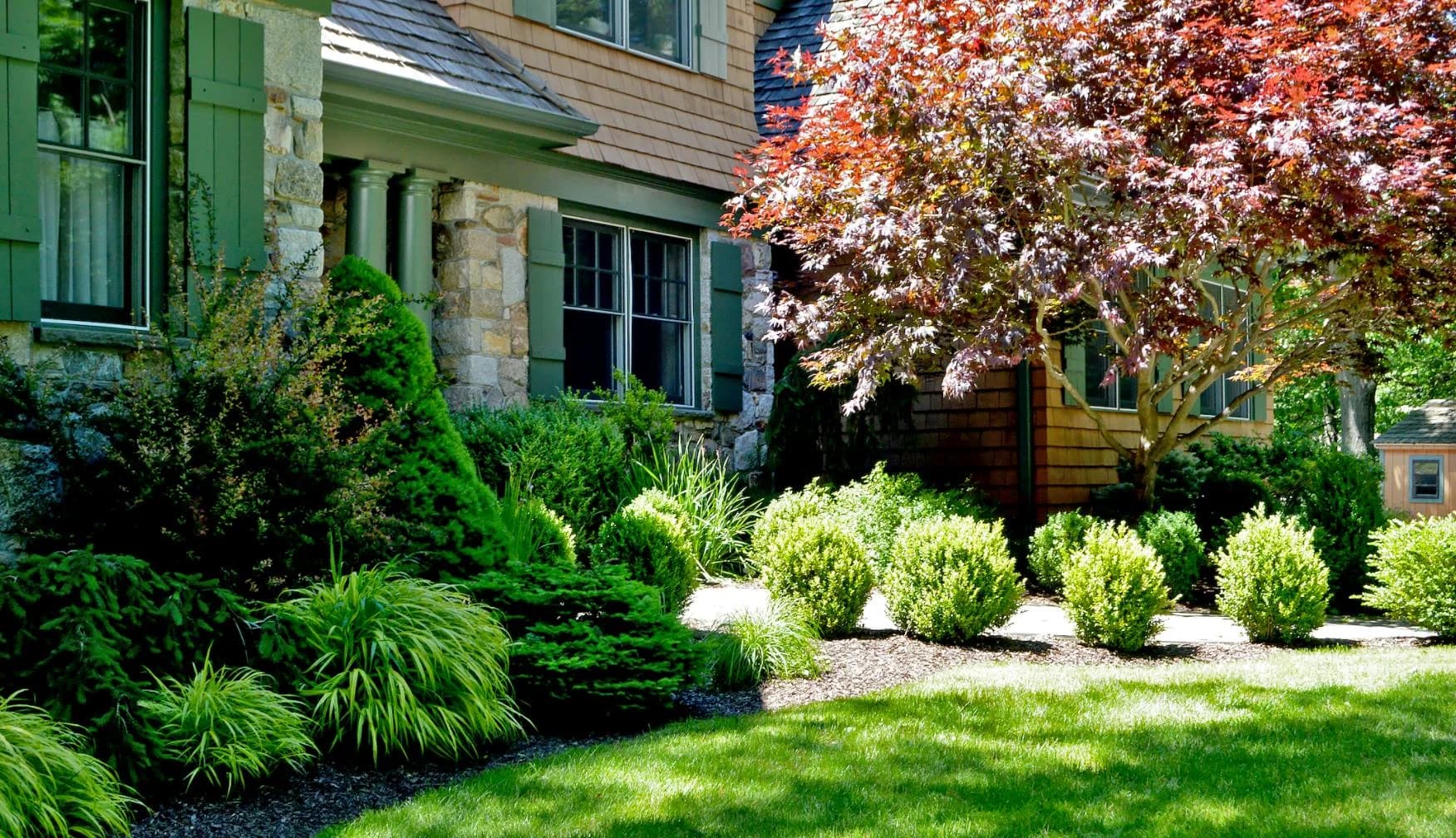 Tree & Shrub Planting Services in Fayetteville, NC