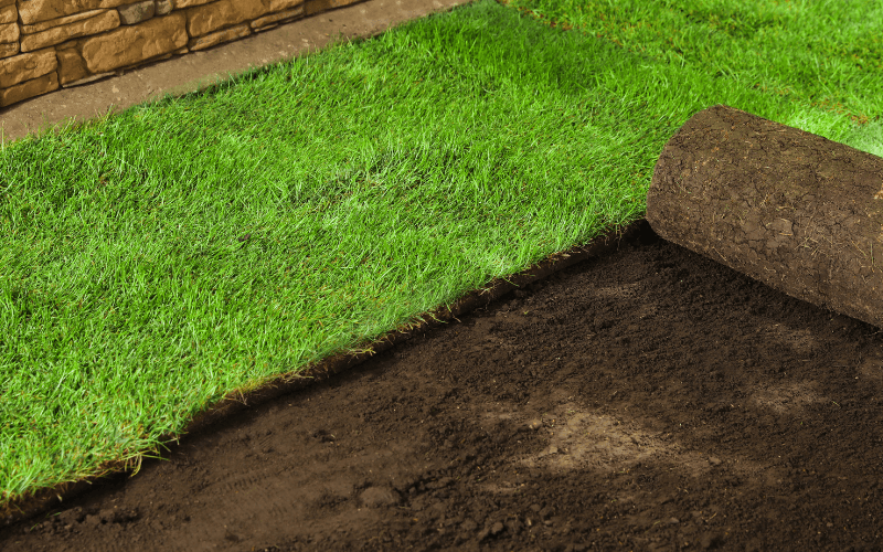Sod Installation Services in Fayetteville, NC