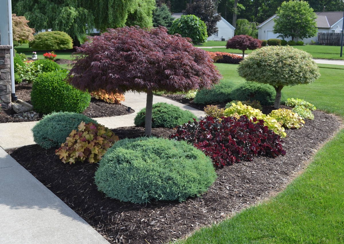 Landscape Design in Fairview project 7