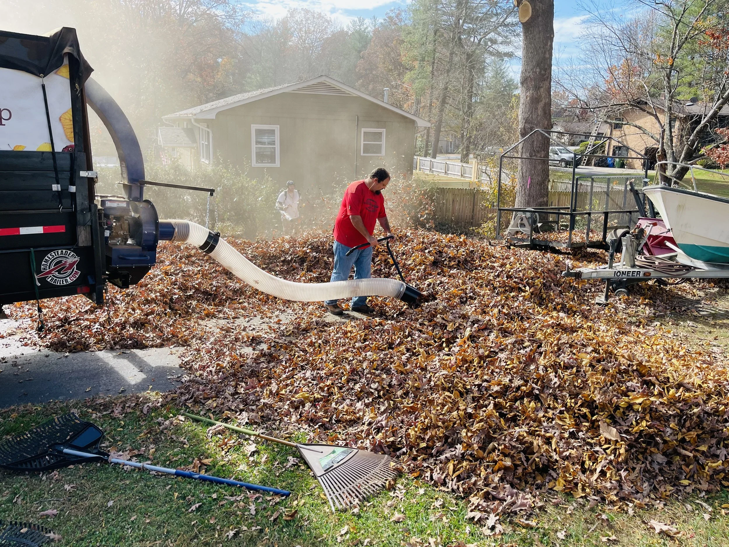 Leaf Removal in Fayetteville